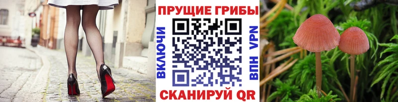 Псилоцибиновые грибы мухоморы  Котлас 