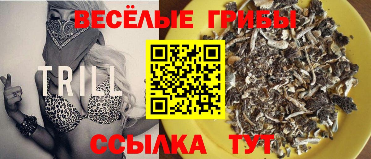 Псилоцибиновые грибы мухоморы Котлас